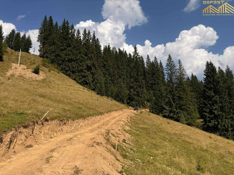 Кривопілля. 28сотих. Нерухомість. Земля. Карпати. Верховинський район