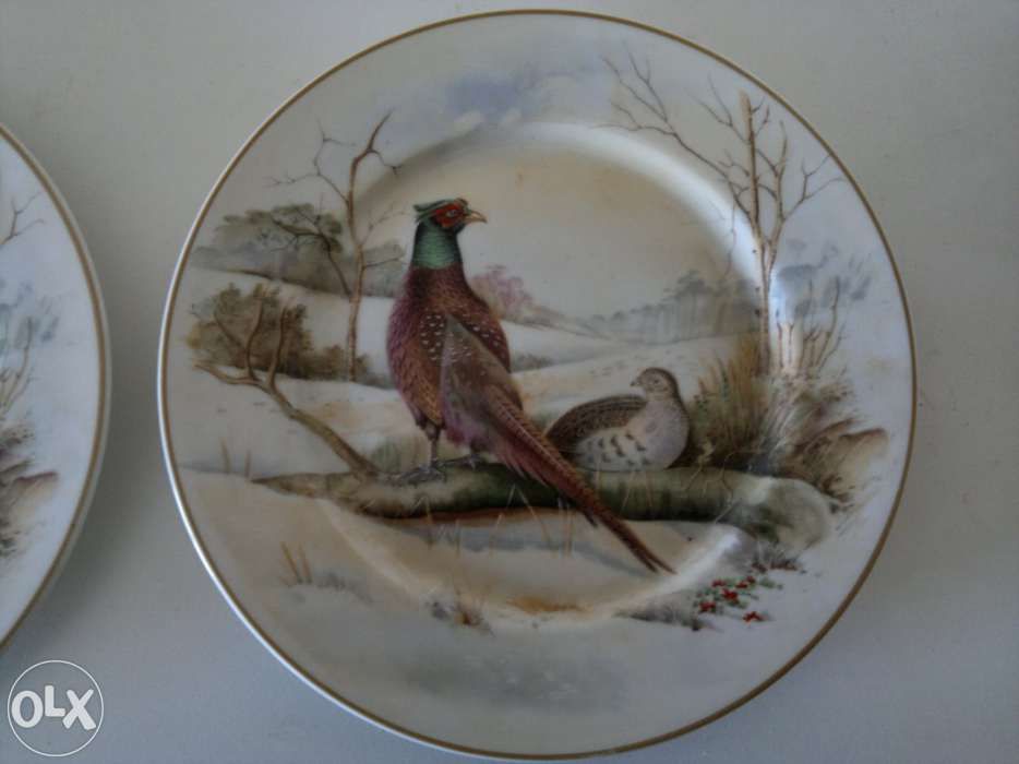 Two Decorative Plates435433640832552961