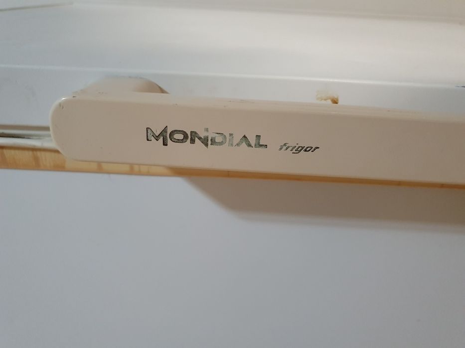 Arca congeladora Mondial frigor