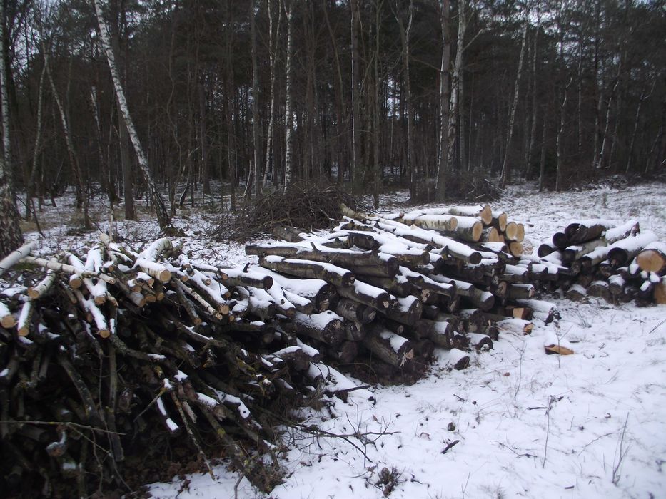 drewno opałowe na sprzedaż
