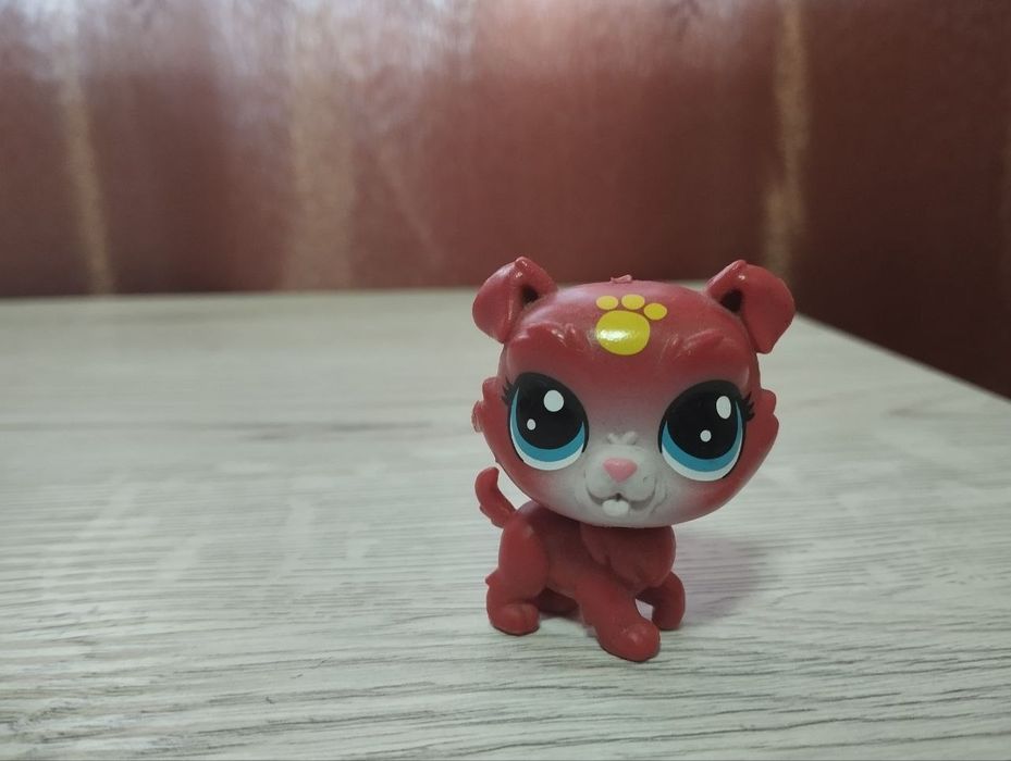 Пони пет  значки