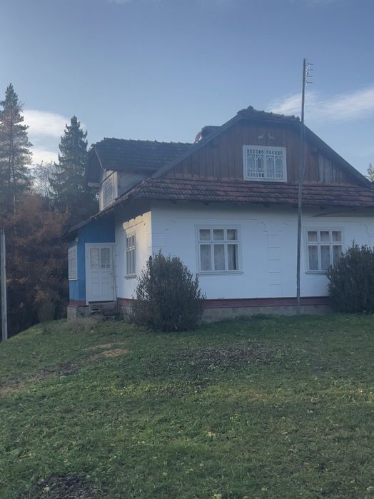 Продаж будинку та земельної ділянки 91 сот. біля лісу в с. Шешори