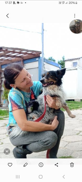 Pepper, lubi KOTY, mały. (FILMIKI)