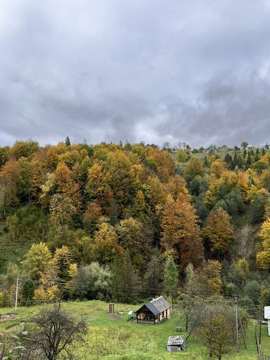 Здається будиночок в Карпатах.