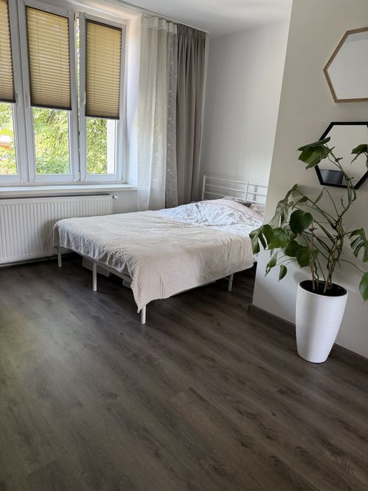 Mieszkanie do wynajecia