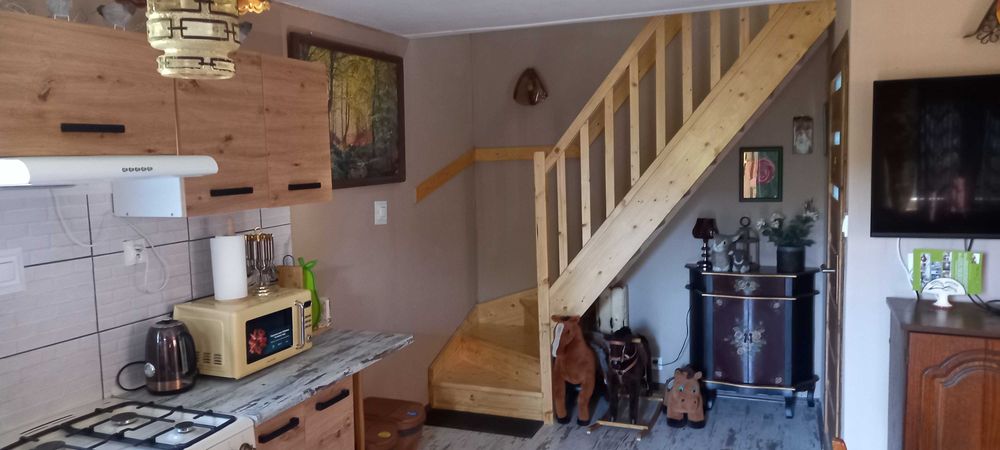 Bieszczady domek do wynajęcia Nowy Łupków Gmina Komańcza