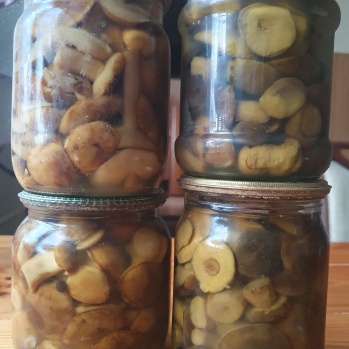 Гриби мариновані. Польський.