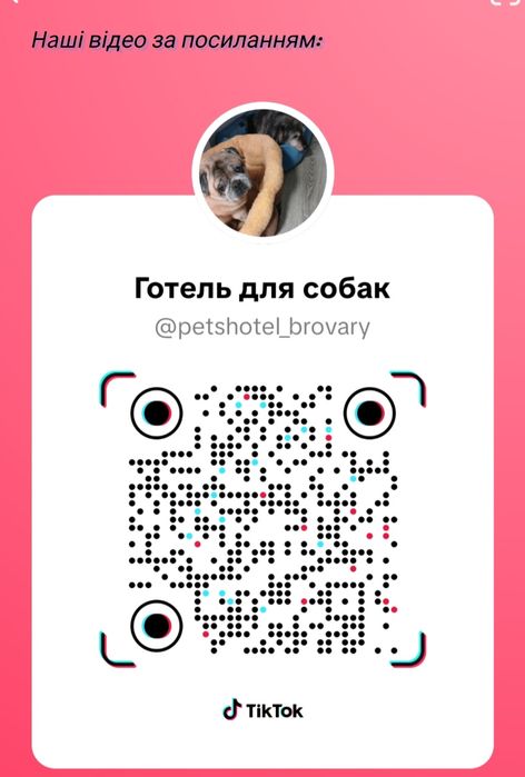 Перетримка собак до 12 кг.  Готель, догсіттер, передержка. Фото/відео