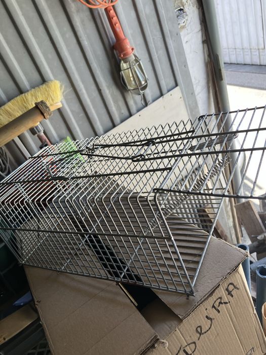 Gaiola para apanhar ratos