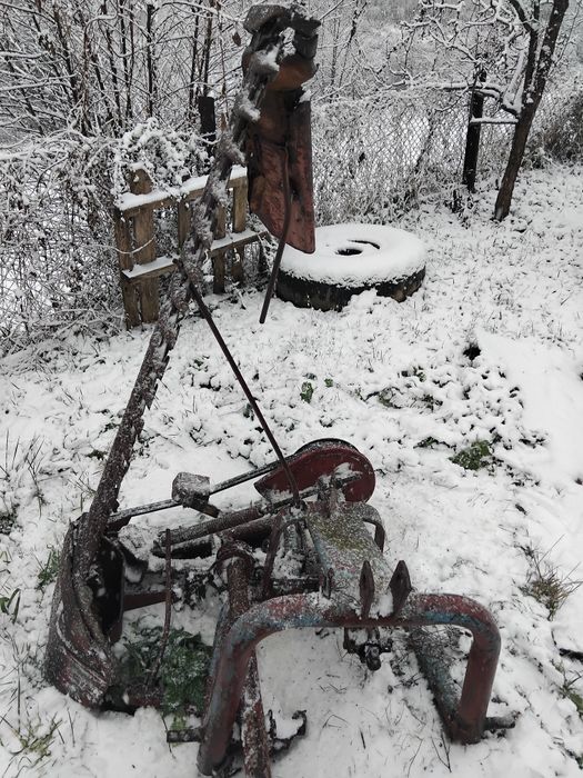 Косалка сегментна