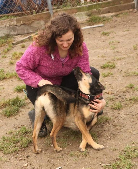 Kochany miziasty Dino od lat szuka domu