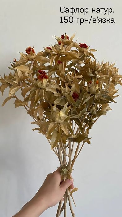 Сухоцвіти (пшениця, лагурус, фалярис)