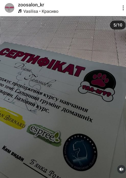 Курсы груминга  ! Базовый курс с нуля . НОВЫЙ СТАРТ 10.01