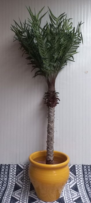 Palmeira artificial