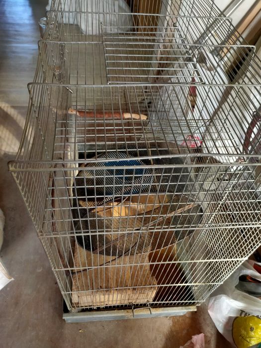большая клетка для шиншил