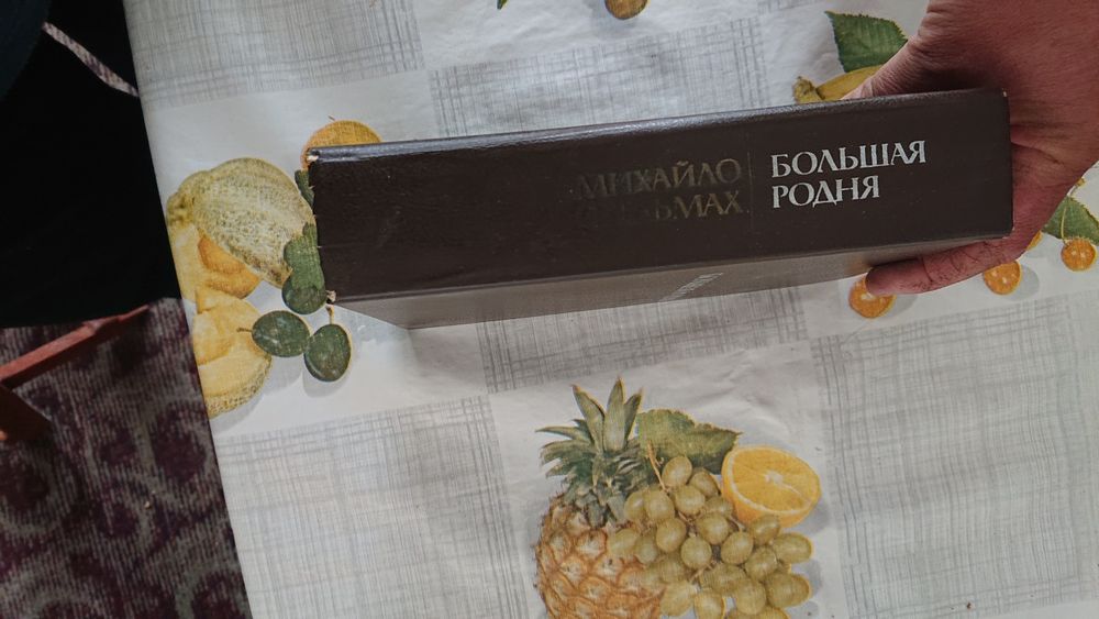 Михайло Стельмах, український письменник