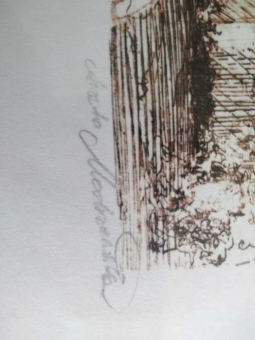 Rycina Wrocław Katedra