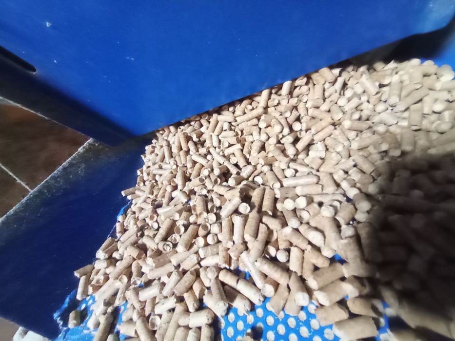 Pellet. Sosnowy . A 1