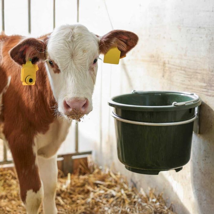 Wiadro z tworzywa sztucznego, 12 l, oliwkowe, Kerbl