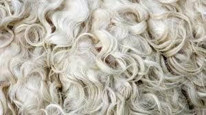 Продам вовну, шерсть з овець, не миту .