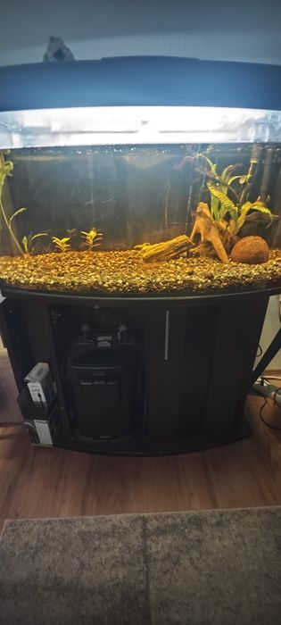 Akwarium 112l + szafka + akcesoria
