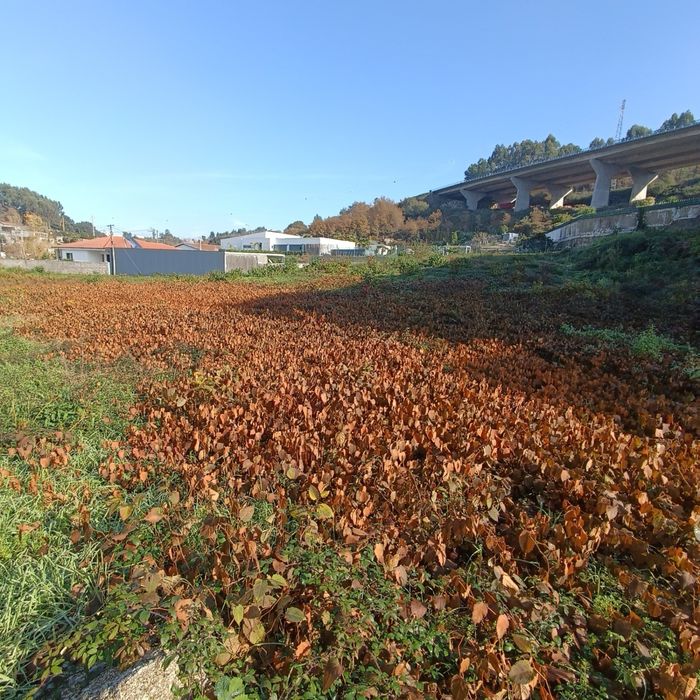 Terreno Urbano Serzedelo | Guimaraes