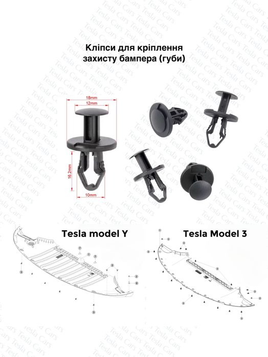 Кліпси і кріплення Tesla Model 3/Y Клипсы Tesla Model 3/Y
