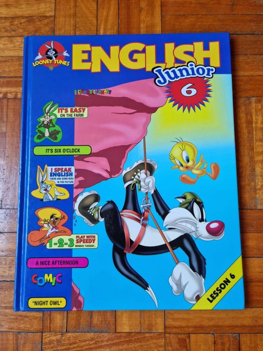 Aprenda Inglês - English Junior