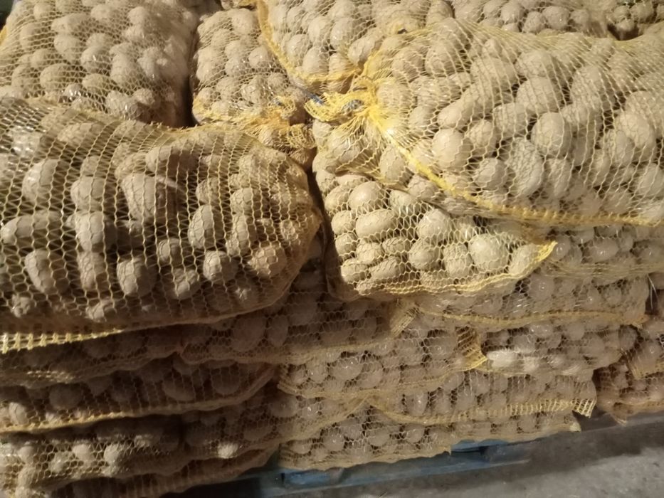 Ziemniaki belarosa, Soraya