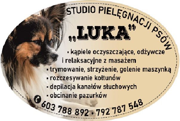 Groomer Uslugi Dla Zwierzat Olx Pl