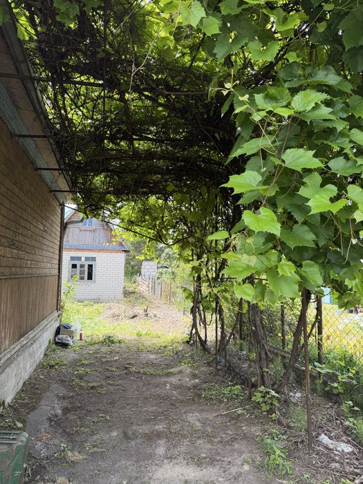 Продам дачу в Новій Украінці