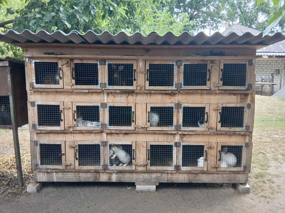 Клітки для кролів