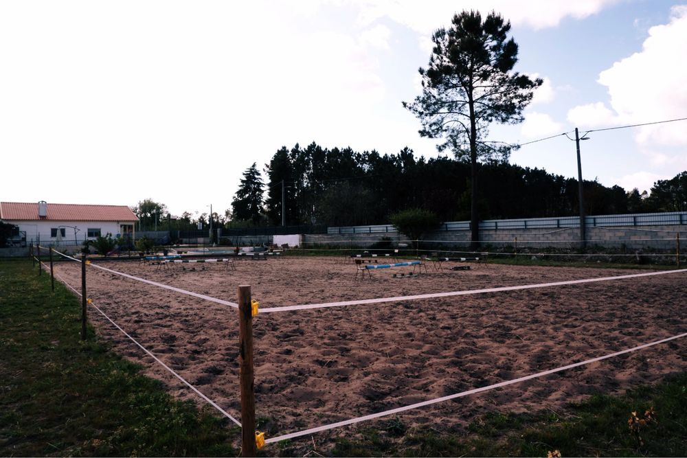 Cavalos a penso !!!