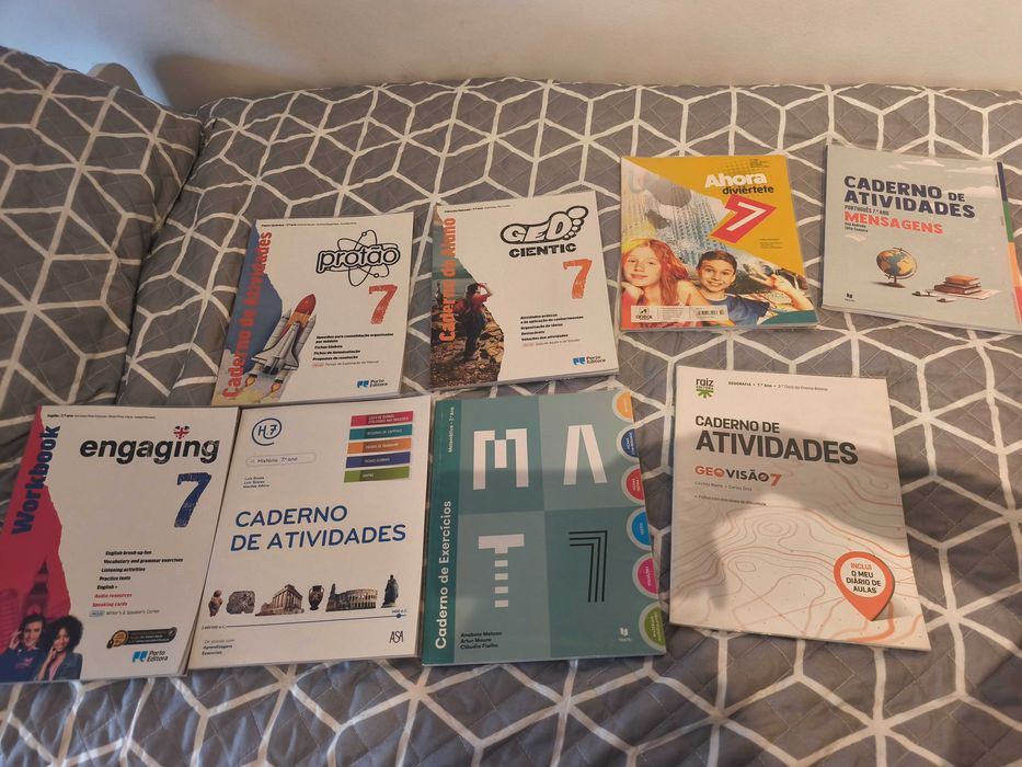 Cadernos de Atividades do 7o ano novos