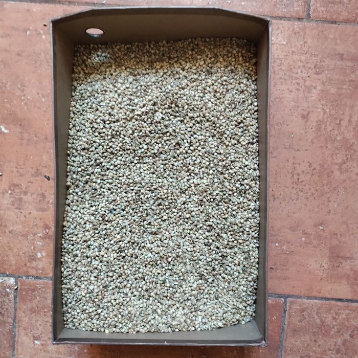 Терміново Крупа конопляна.для рибалки