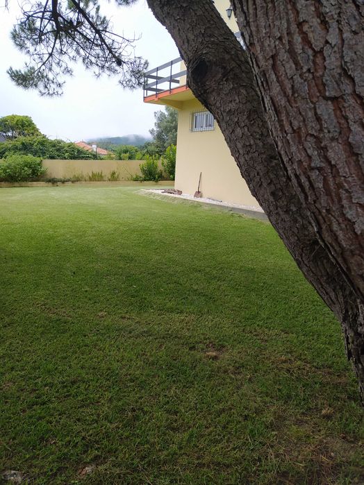 Manuntenção de jardins/ limpeza de terrenos