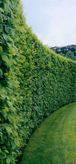 Usługi ogrodnicze i brukarskie