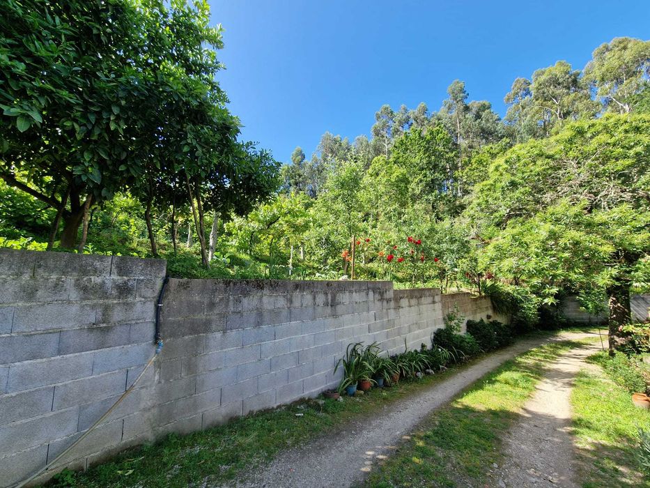 Quintinha com Árvores de fruto e Água