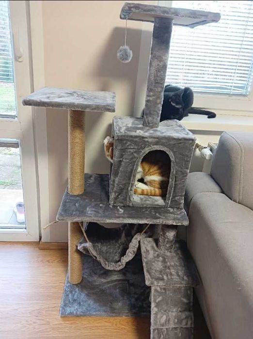 Drapak budka dla kota duży wysoki legowisko  drabinka słupek
