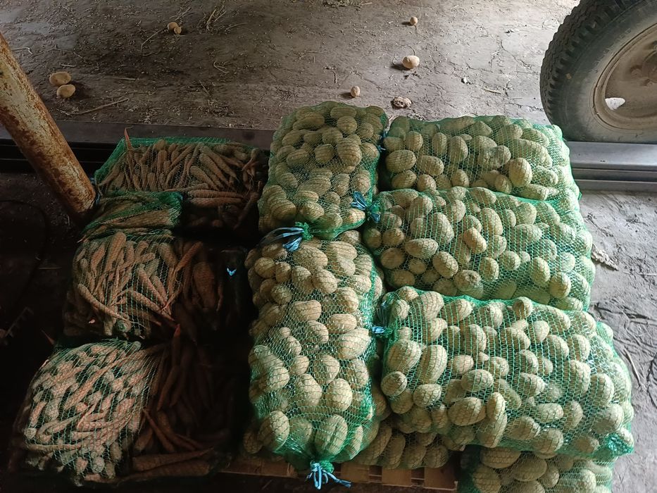 Ziemniaki winieta/Quin anna