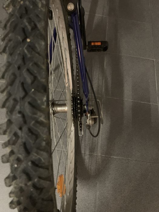 Biciclrta adulto