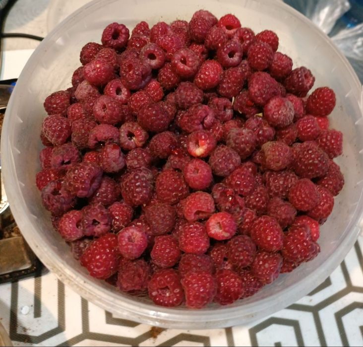 Свежая сладкая малина