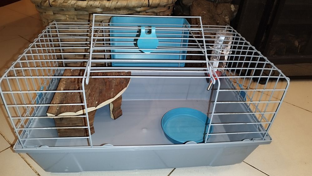 Gaiola para Porquinho da Índia