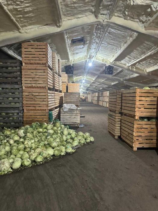 Продаж діючого фермерського комплексу 23,7 га