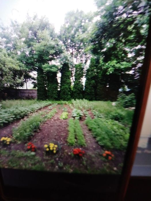Dom – Ślęcin, powiat jędrzejowski - Widok 3