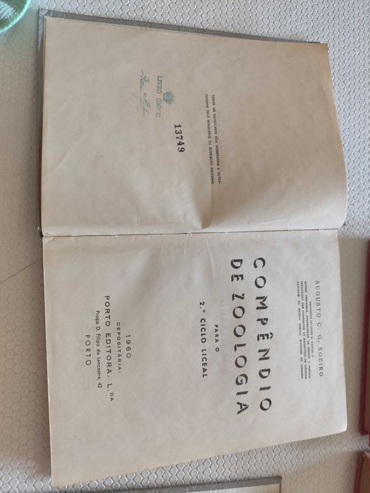 Lote de 6 Compêndios Escolares Antigos (1957-1960) – Matemática, Geografia, Zoologia e História