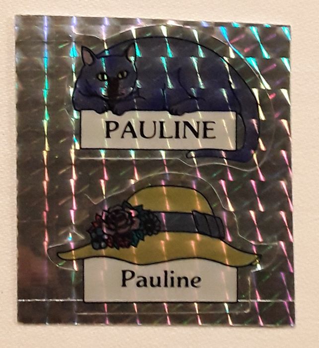 Conjunto de 5 stickers/autocolantes "Pauline"