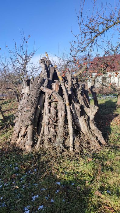 Sprzedam drewno z wiśni do wędzenia lub kominka