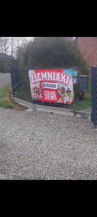 Ziemniaki gala, vineta ,bellarosa i bernina