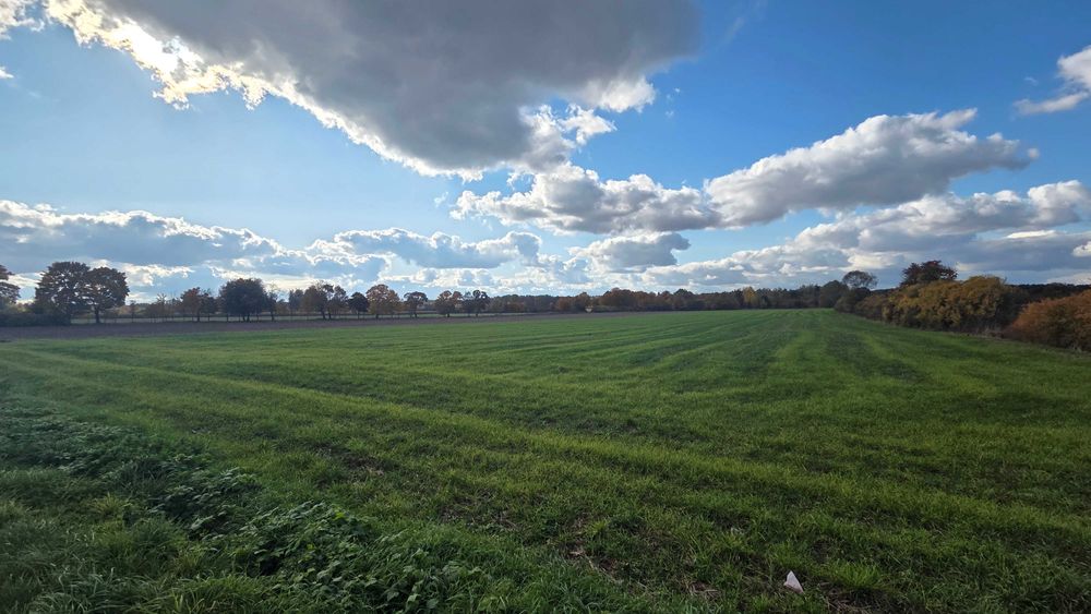 Działka nad Soną - Nowe Miasto